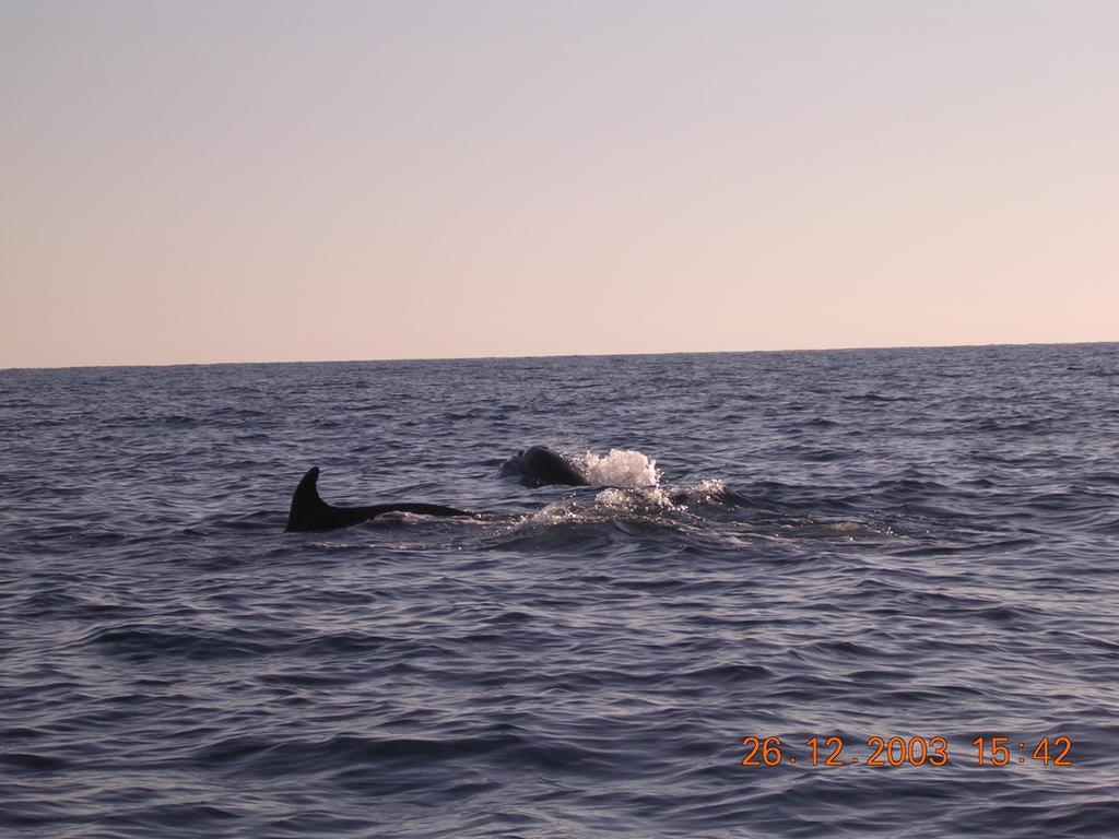Holiday Home Santa Margherita Ligure Bagian luar foto